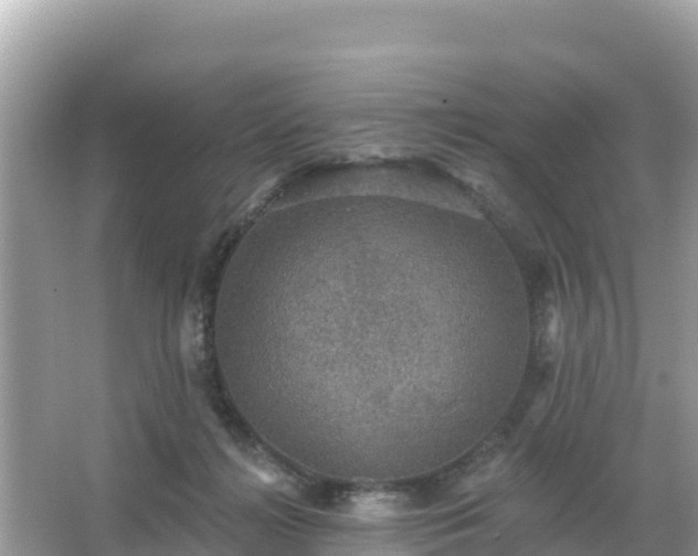 X0000066010268200603101604