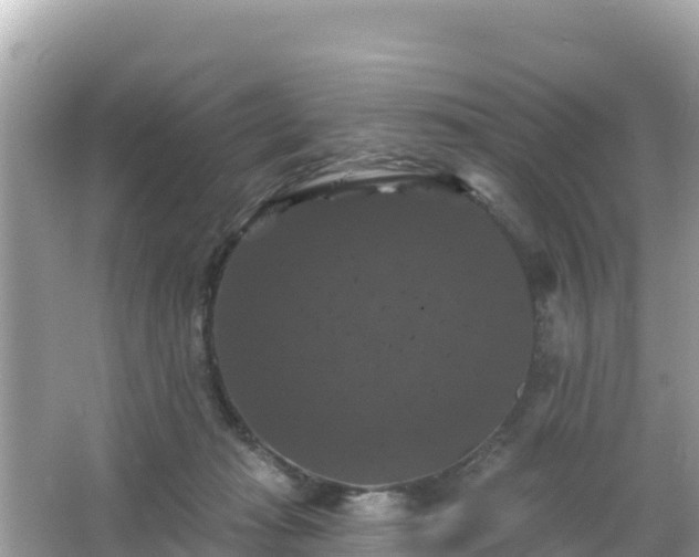 X0000066010269200603101604