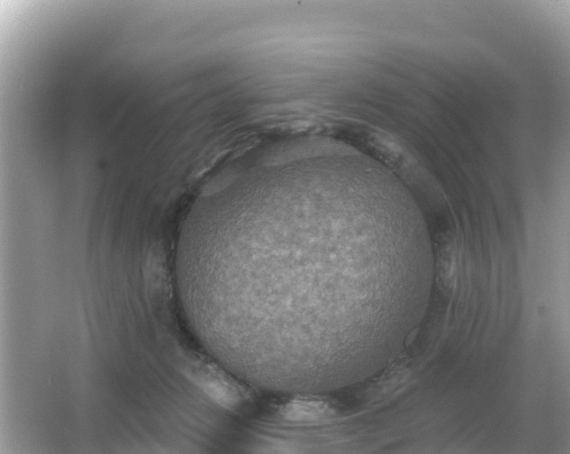 X0000066010270200603101604