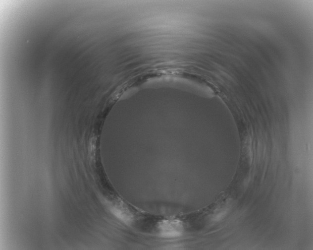 X0000066010271200603101604