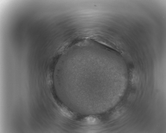 X0000066010272200603101604