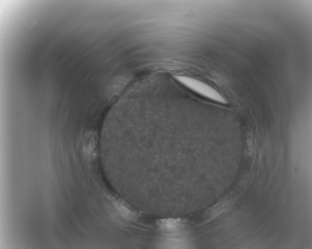 X0000066010273200603101604