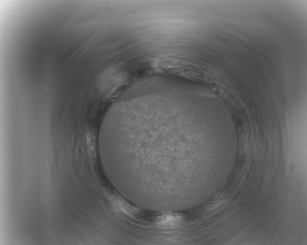 X0000066010274200603101604