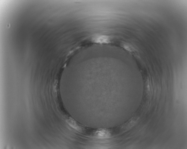 X0000066010275200603101604