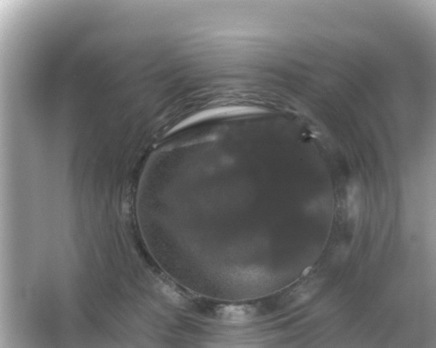 X0000066010277200603101604