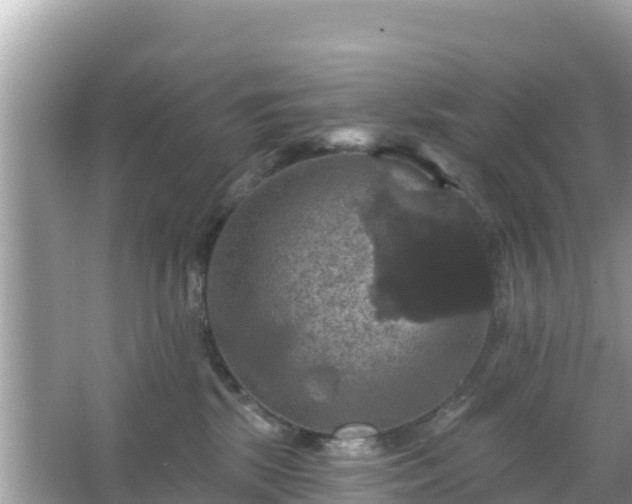 X0000066010281200603101604