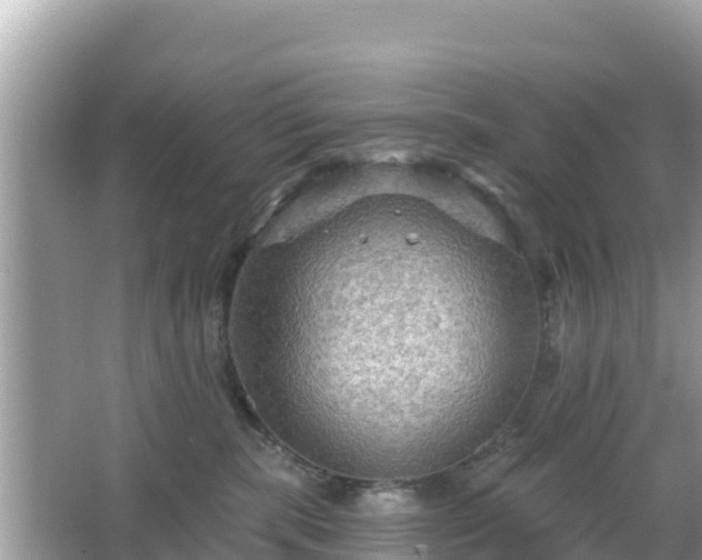 X0000066010283200603101604