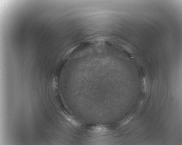 X0000066010284200603101604