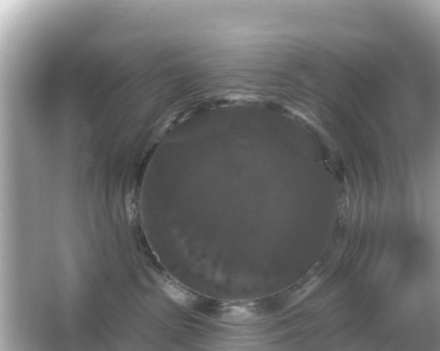 X0000066010285200603101605