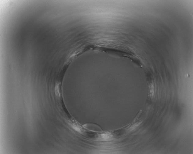 X0000066010286200603101605