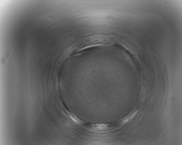 X0000066010288200603101605