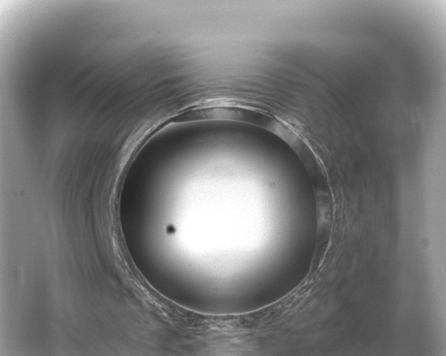 X0000066010289200603101604