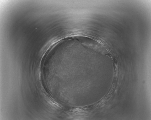 X0000066010290200603101604