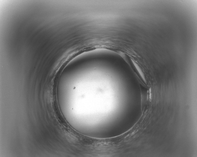 X0000066010291200603101604