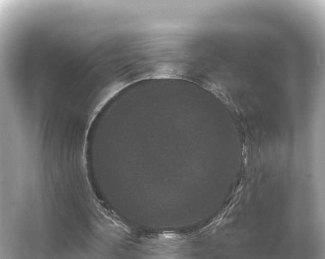 X0000066010292200603101604