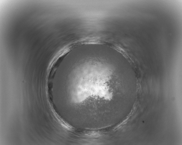 X0000066010293200603101604