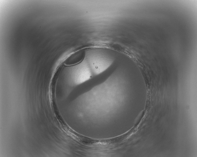 X0000066010294200603101604