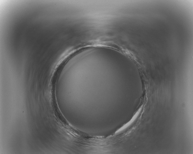 X0000066010295200603101604