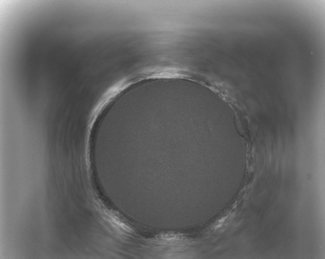 X0000066010296200603101604