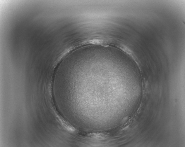 X0000066010297200603101604