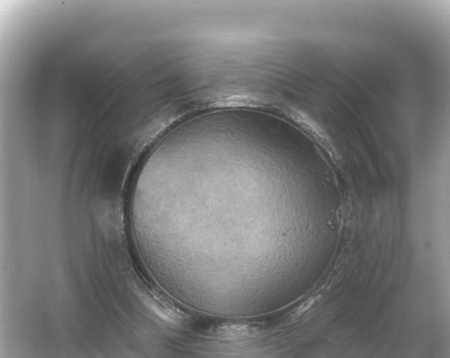 X0000066010298200603101604