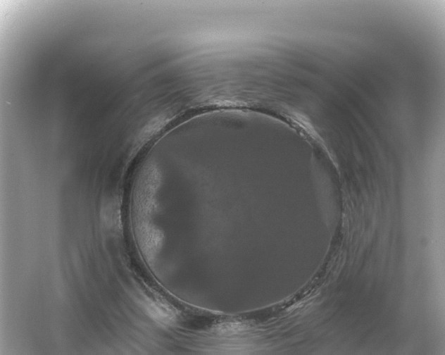 X0000066010299200603101604