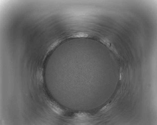 X0000066010300200603101604