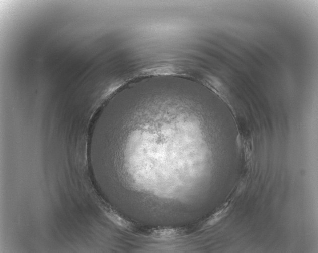 X0000066010301200603101604