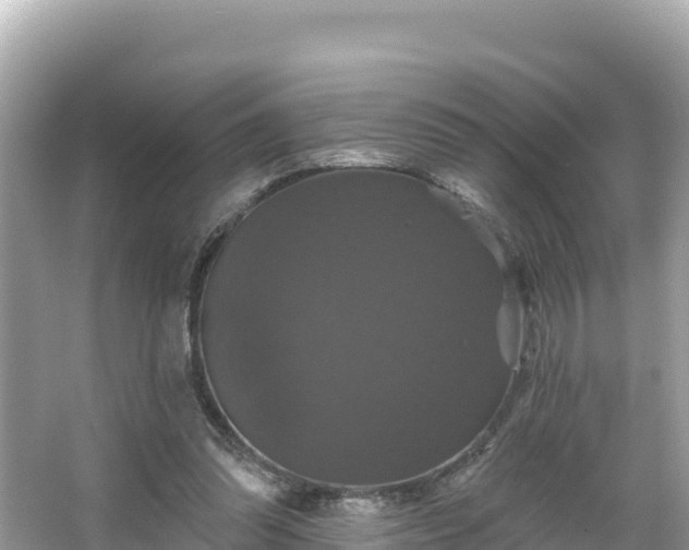 X0000066010302200603101604