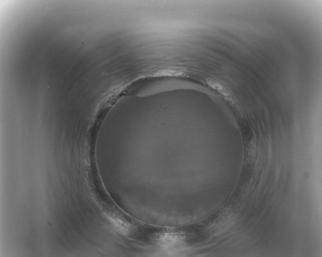 X0000066010303200603101603