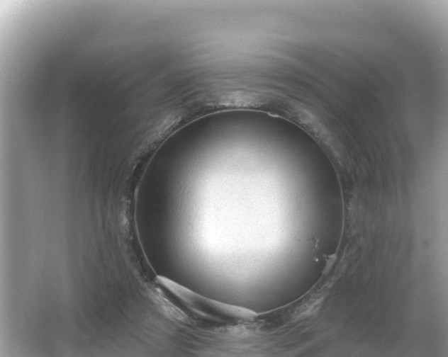 X0000066010305200603101603