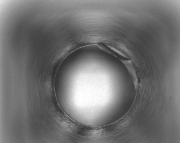 X0000066010306200603101603