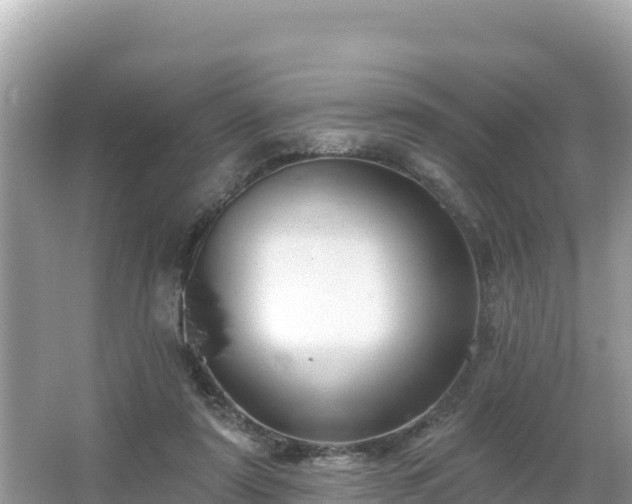 X0000066010307200603101603