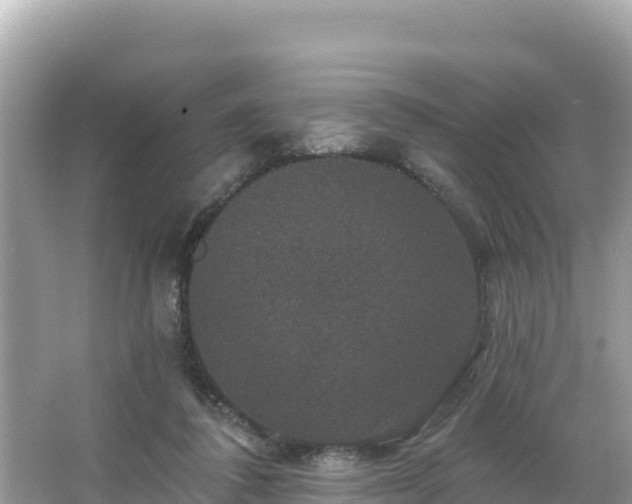 X0000066010308200603101603