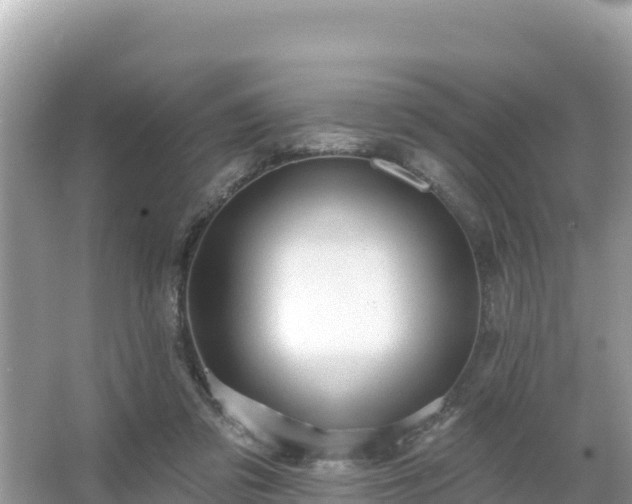 X0000066010309200603101603