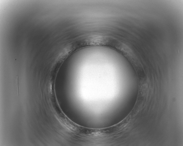 X0000066010310200603101603