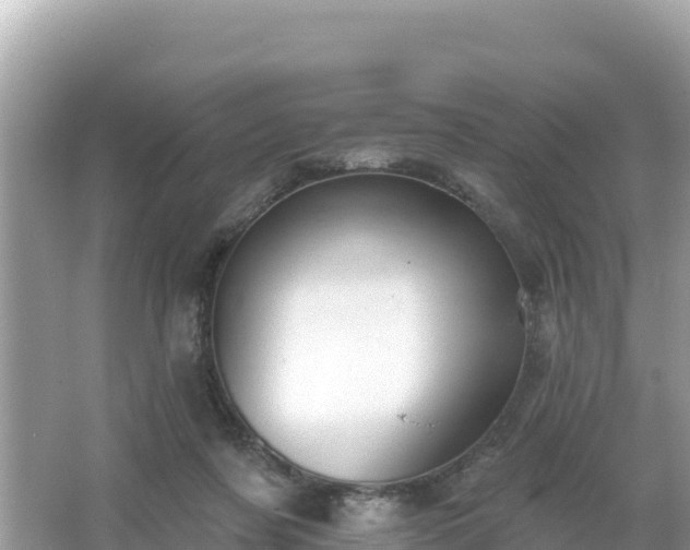 X0000066010311200603101603