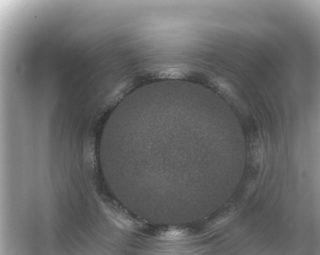 X0000066010312200603101603