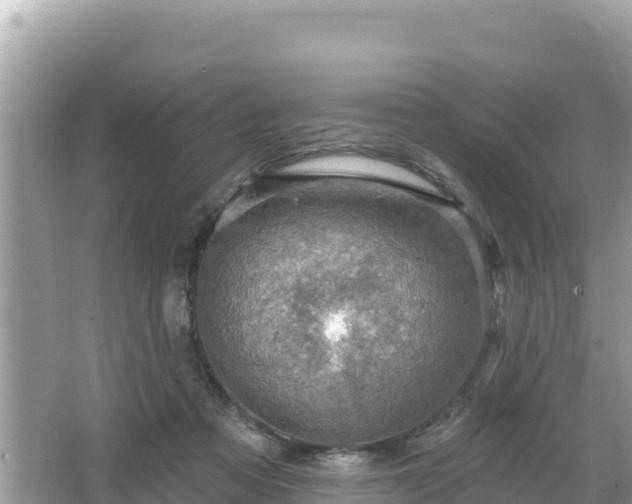 X0000066010313200603101603