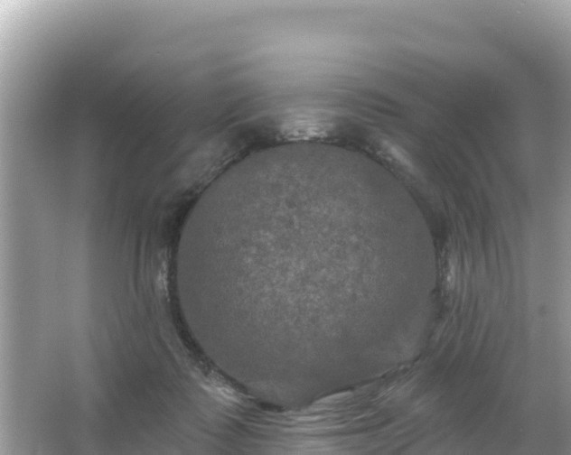 X0000066010315200603101603