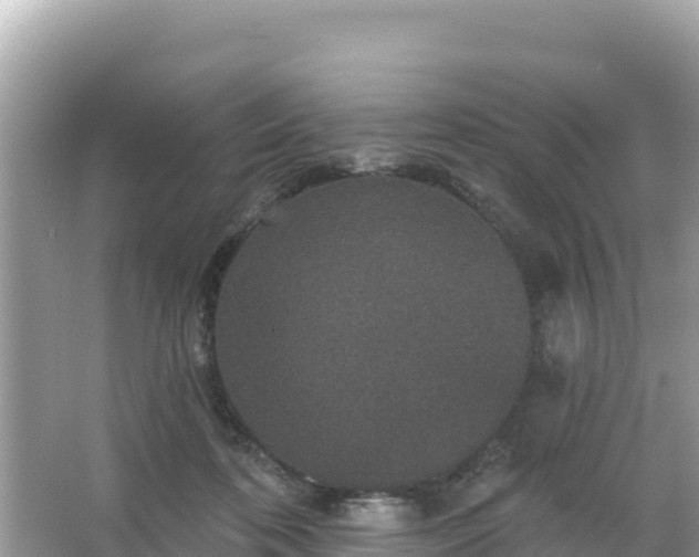 X0000066010316200603101603