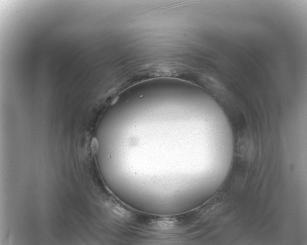 X0000066010318200603101603