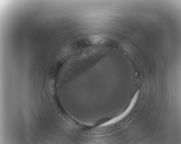 X0000066010319200603101603