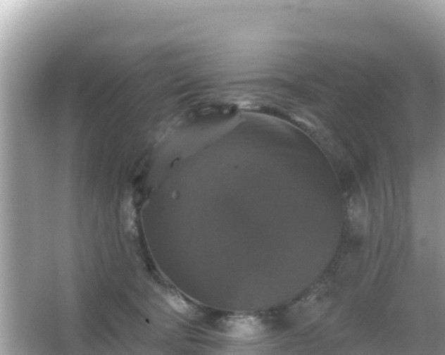 X0000066010322200603101603