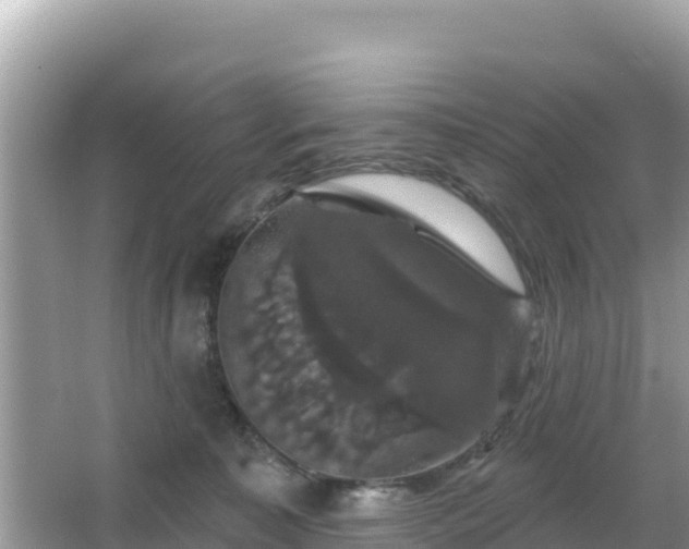 X0000066010323200603101603