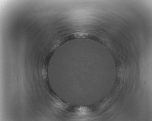 X0000066010324200603101603