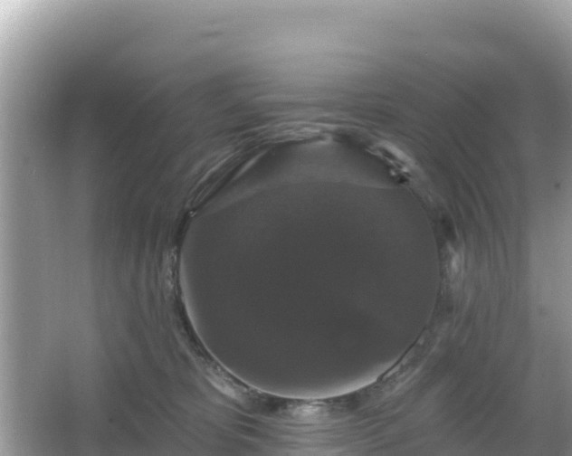 X0000066010325200603101603