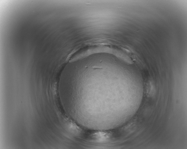 X0000066010326200603101603