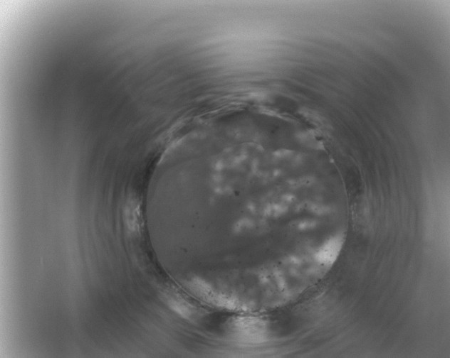 X0000066010327200603101603