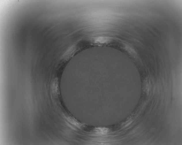 X0000066010328200603101603